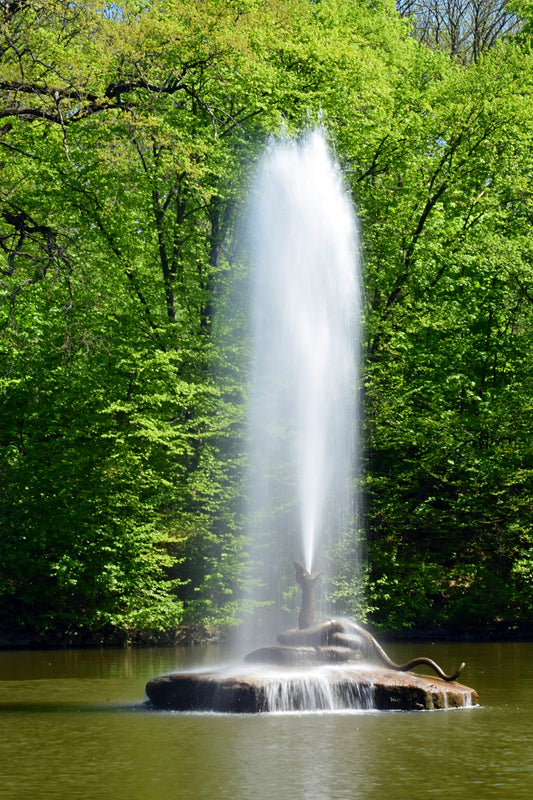 a fountain spewing water into a lake surrounded by trees