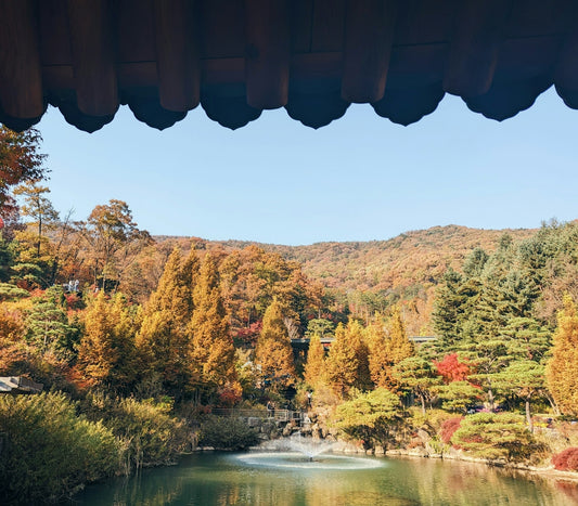 a lake surrounded by trees in the fall