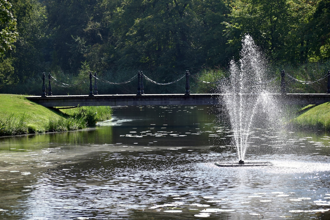A pond with a fountain in the middle of it