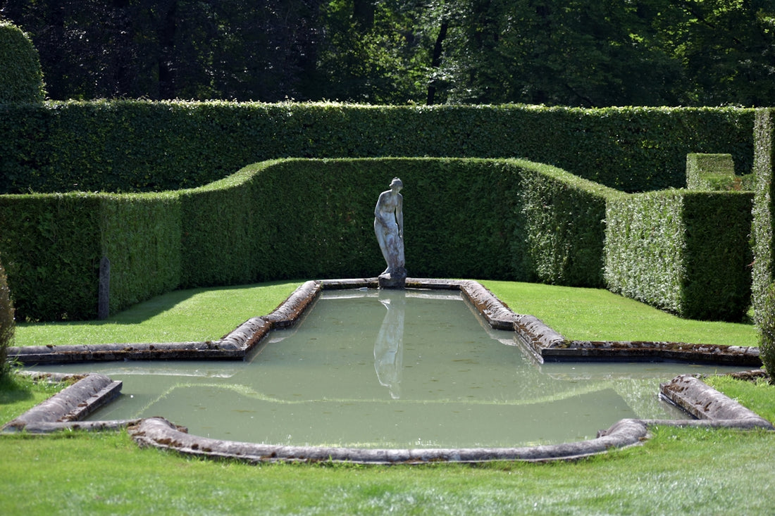 A bird is standing on the edge of a pond