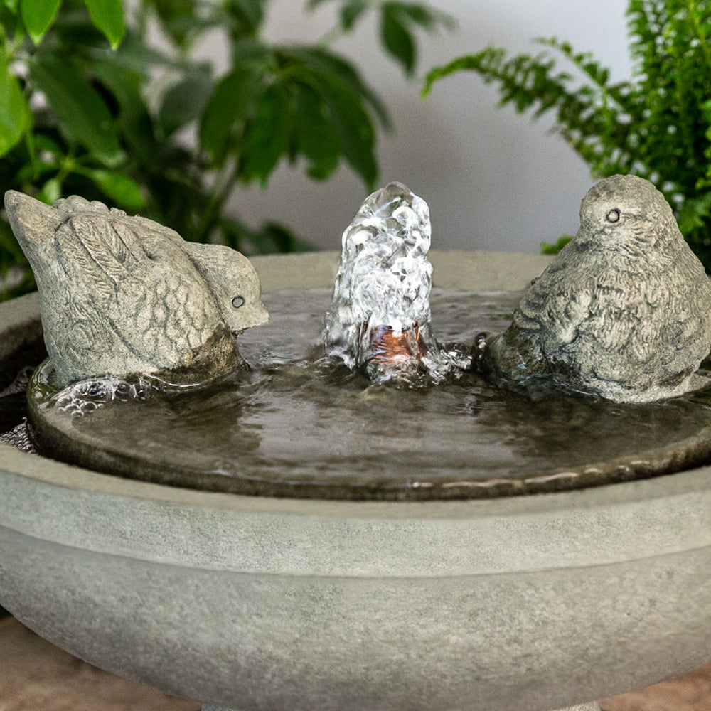 Garden fountain image