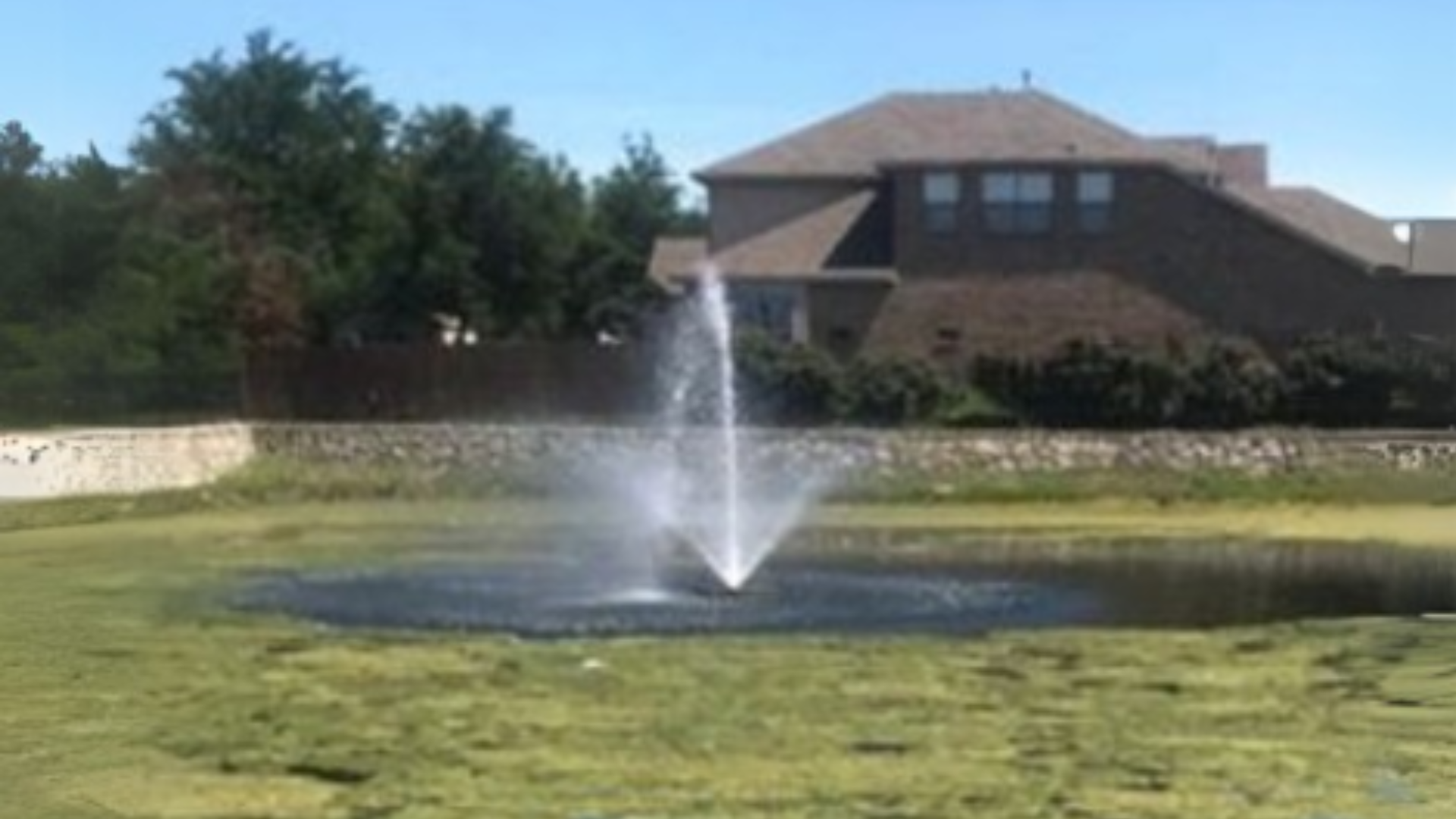 algae filled pond algae filled pond