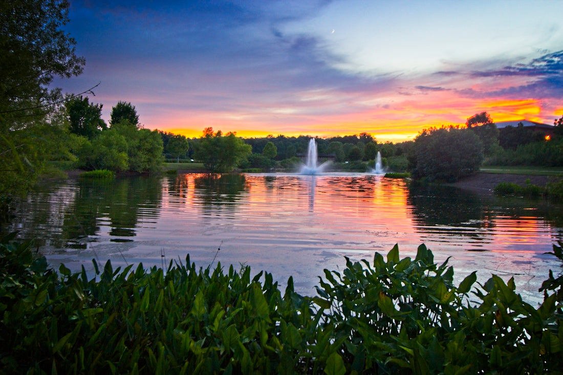 water fountain in the middle of green grass field during sunset