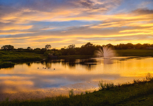 a pond with a fountain in the middle of it