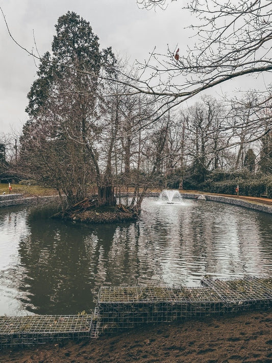a pond with a fountain in the middle of it