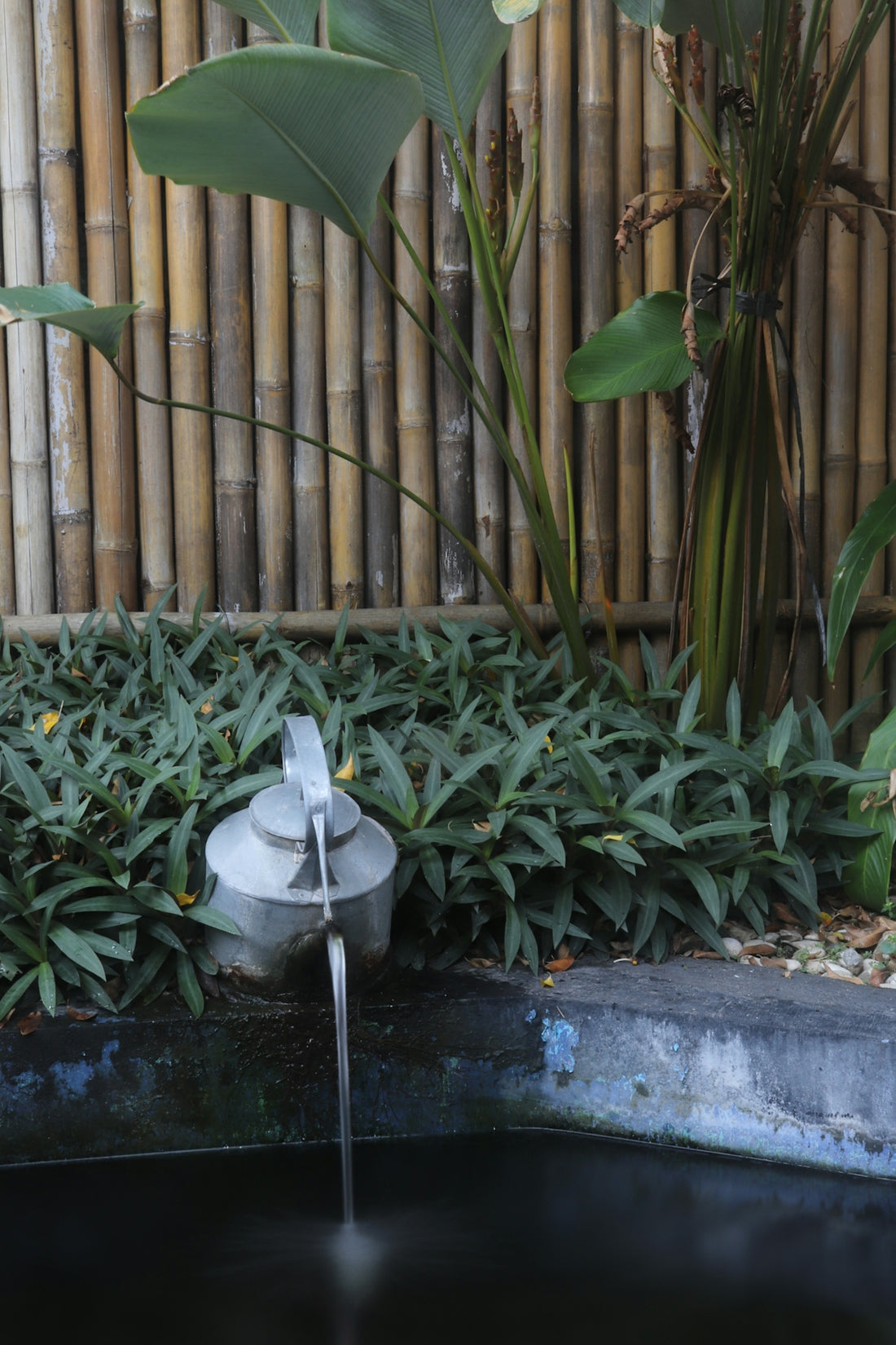 a water fountain surrounded by plants and a bamboo fence