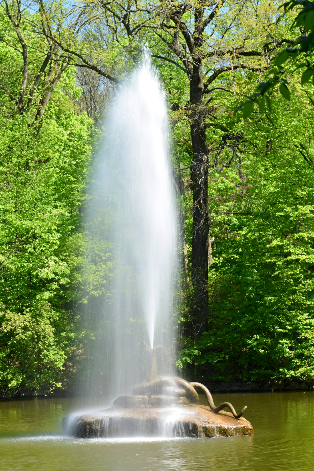 a fountain spewing water into a pond surrounded by trees