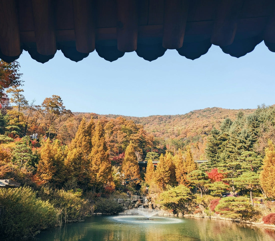a lake surrounded by trees in the fall