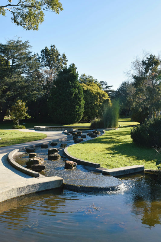 A small pond in a park with benches
