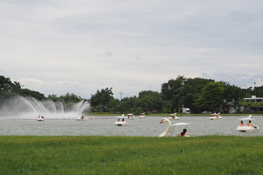 A lake filled with lots of water and lots of birds