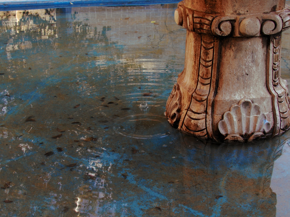 Fountain with reflection and small fish in water.