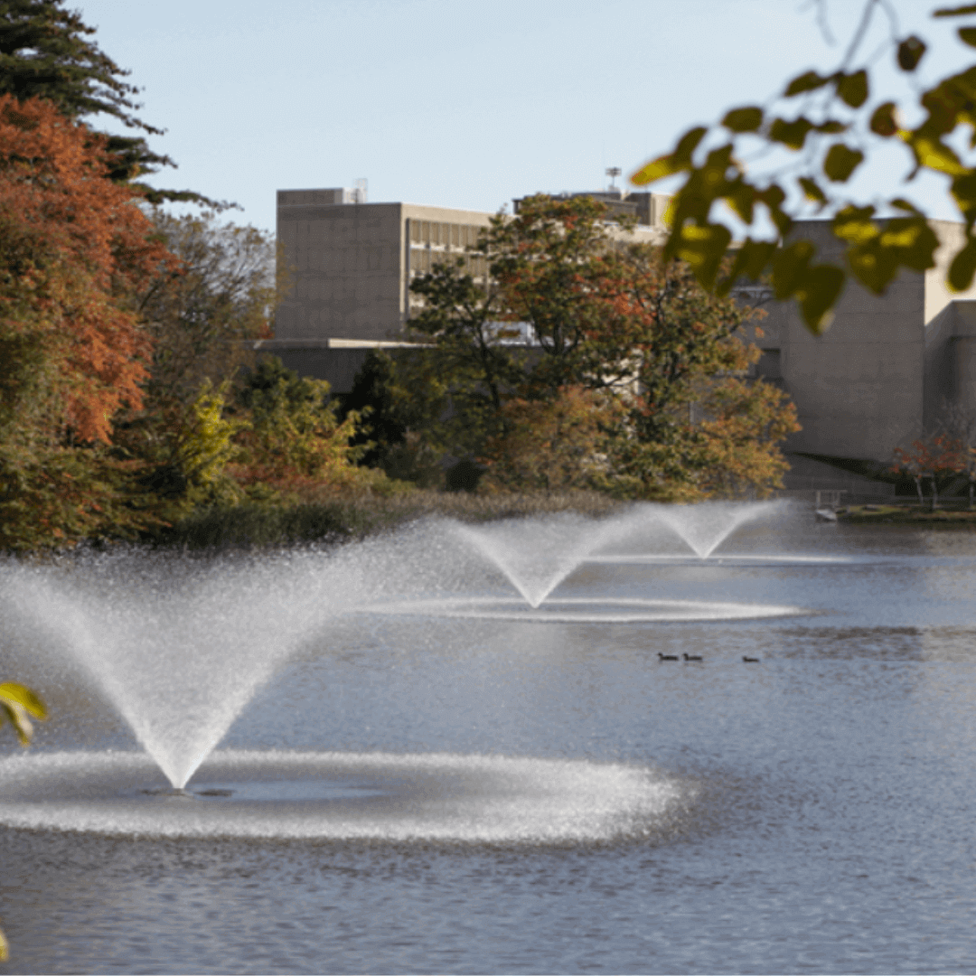 Scott Aerator DA-20 Display Pond Fountain