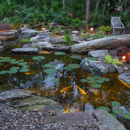 Deluxe pond kit for large water features measuring 21 by 26 feet
