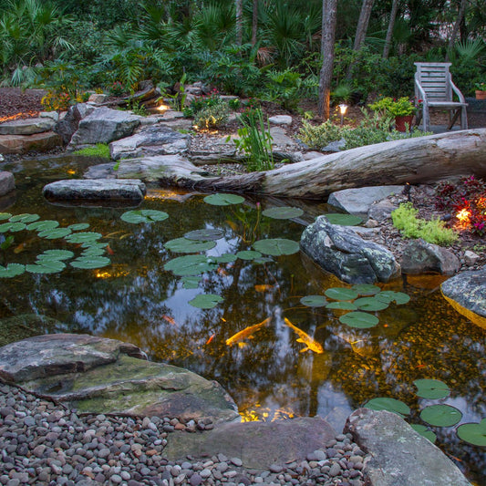 Deluxe pond kit for large water features measuring 21 by 26 feet