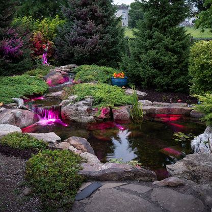 Image of a medium deluxe pond kit measuring 11 feet by 16 feet.