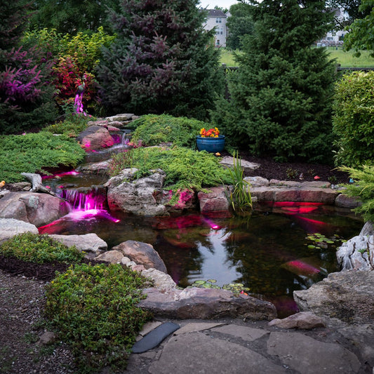 Image of a medium deluxe pond kit measuring 11 feet by 16 feet.
