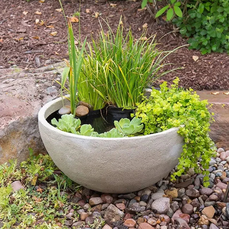 Image of a patio pond.