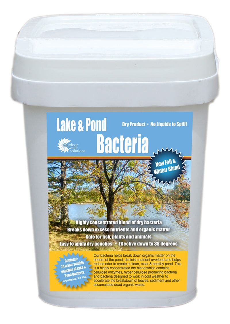 bacteria pack fall winter blend