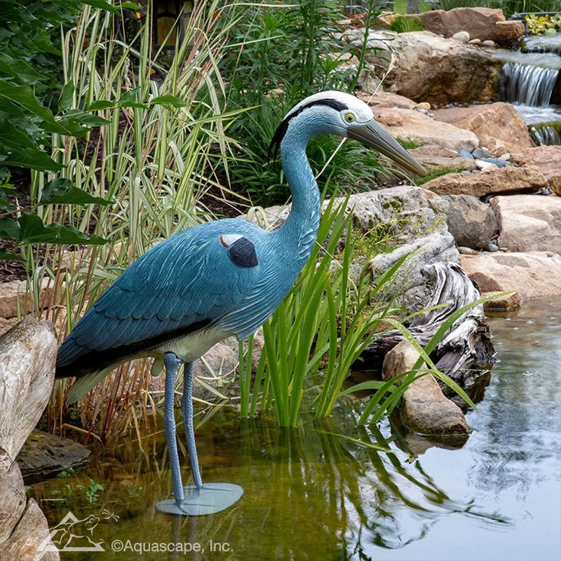 Blue Heron Decoy – Pond Fountain Depot