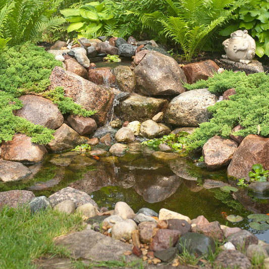 Image of a do it yourself backyard pond kit
