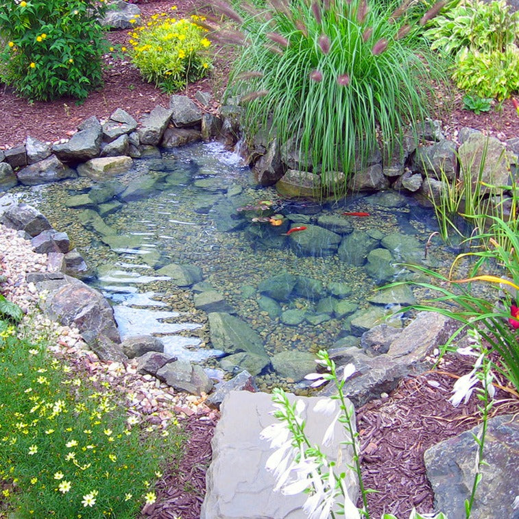 ET66FB Pro-Series Mini Pond Kit – Complete for 6′ X 6′ Pond