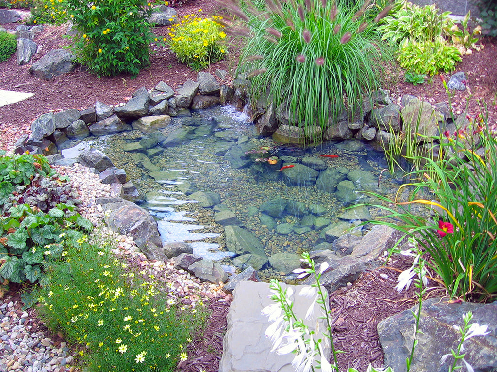 Pro-Series MINI Pond Kit - Complete for 8' X 11' Pond