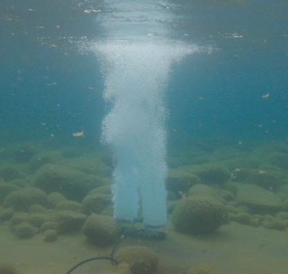 Kasco Robust Aire Diffused Aeration System