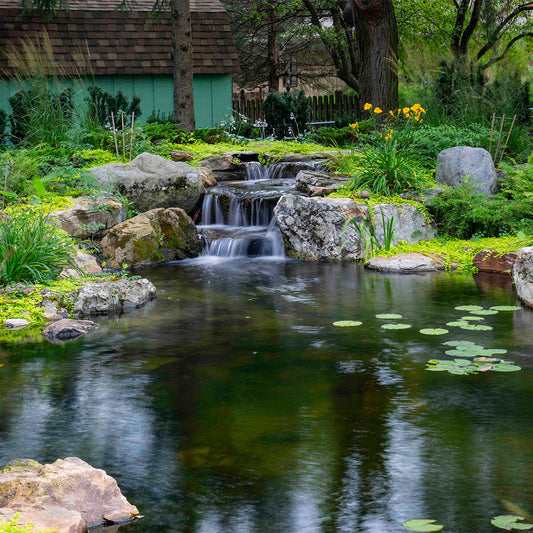 Image of a professional pond kit measuring 3.5 meters by 5.5 meters.