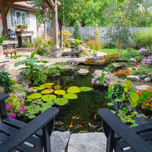 Professional pond kit measuring 3m by 4.5m