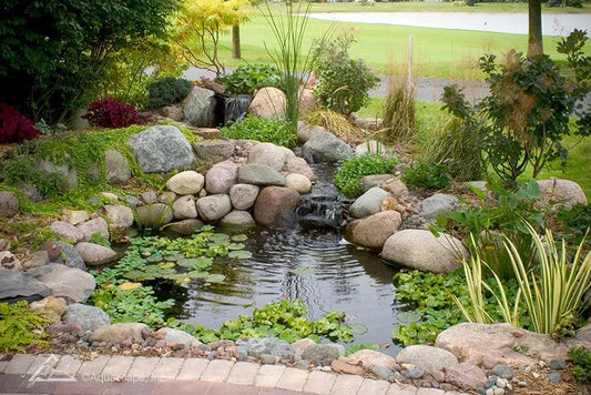 Professional Pond Kit – 2 m x 2.5 m