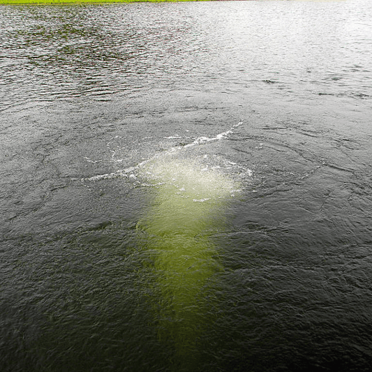 Scott Aerator Bubble Pro Mini Sub-Surface Aerator
