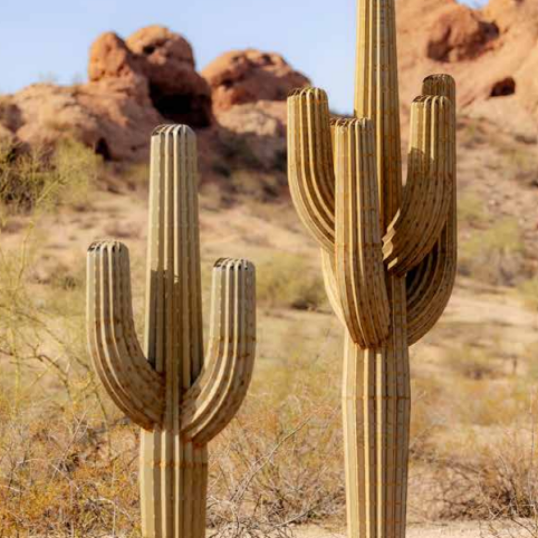 Seven foot tall steel cactus sculpture featuring two branches