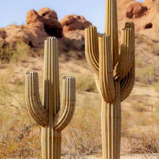 Seven foot tall steel cactus sculpture featuring two branches