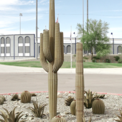 Saguaro Steel Cactus 7 feet With 2 Arms