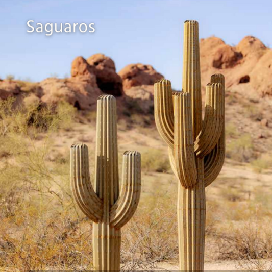 Saguaro Steel Cactus 7 feet With 2 Arms
