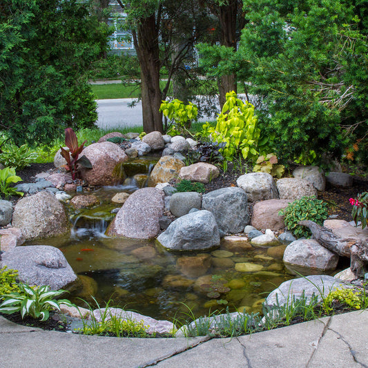 Image of an 8 by 11 foot small pond kit