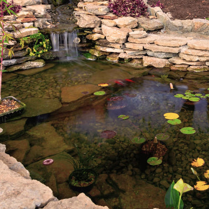 DIY Backyard Pond Kits