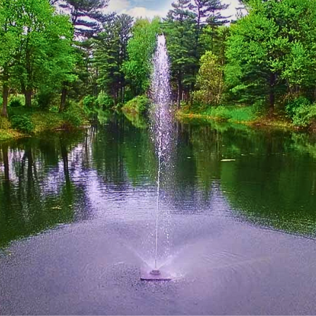 DA 20 image 1 customer